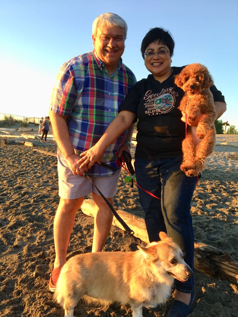 dog training in malaysia